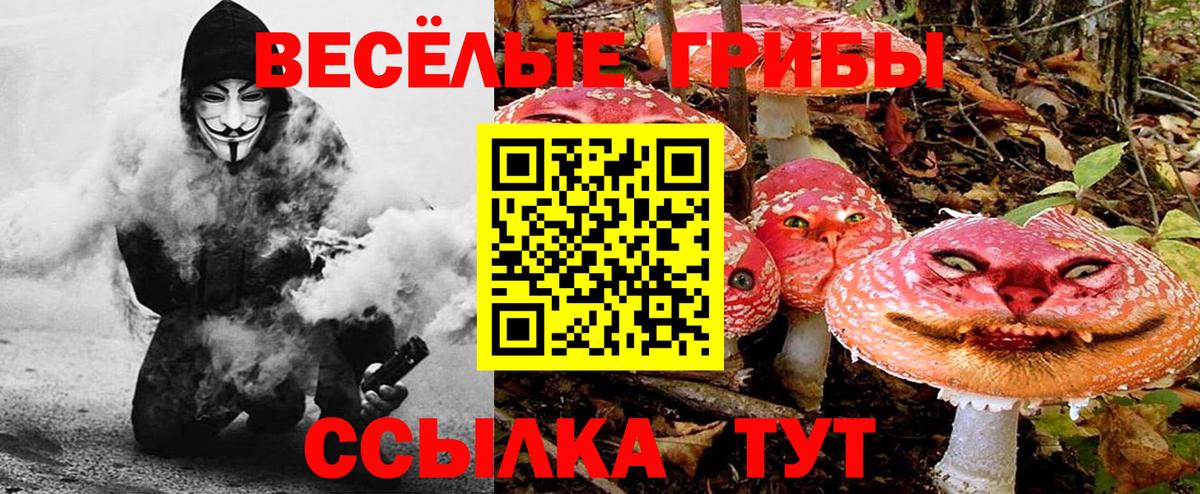Тихвин  Галлюциногенные грибы Magic Shrooms  Вход с VPN 