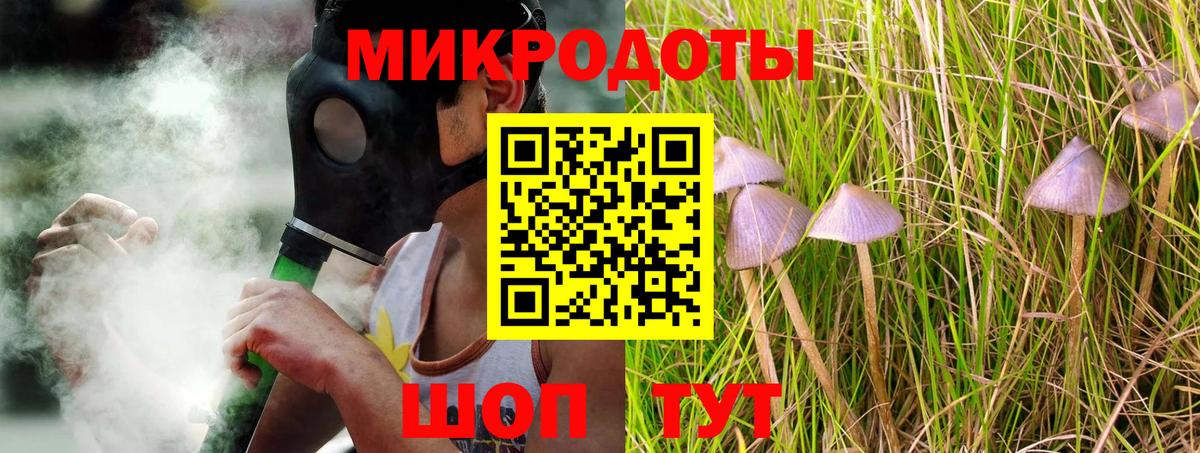 Псилоцибиновые грибы мицелий Тихвин